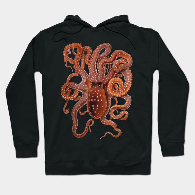 Vintage Octopus Macropus by Giacomo Merculiano Hoodie by MasterpieceCafe